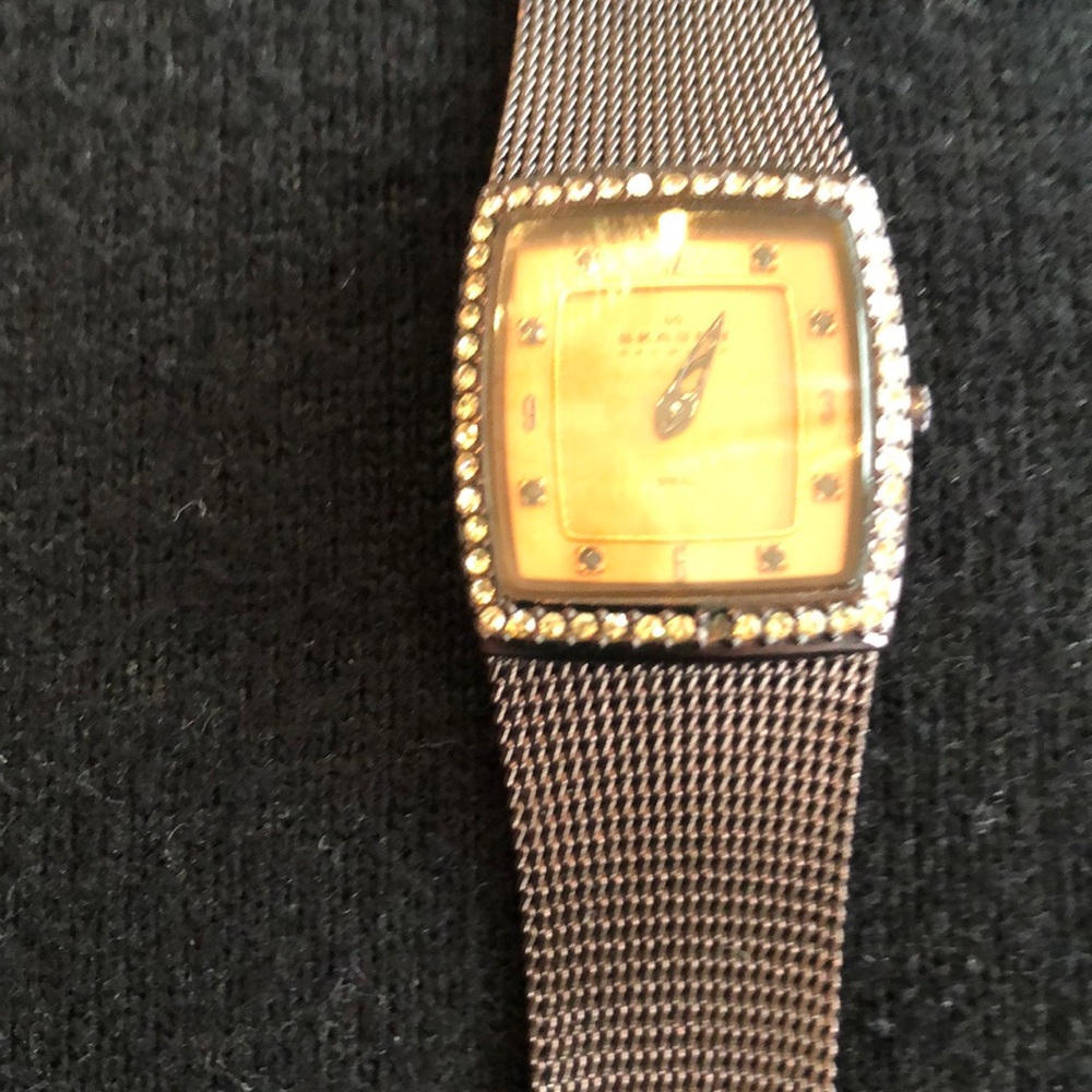 Brown Skagen watch